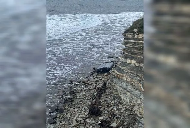 Уголовное дело возбуждено после гибели мужчины из-за опрокидывания лодки под Геленджиком