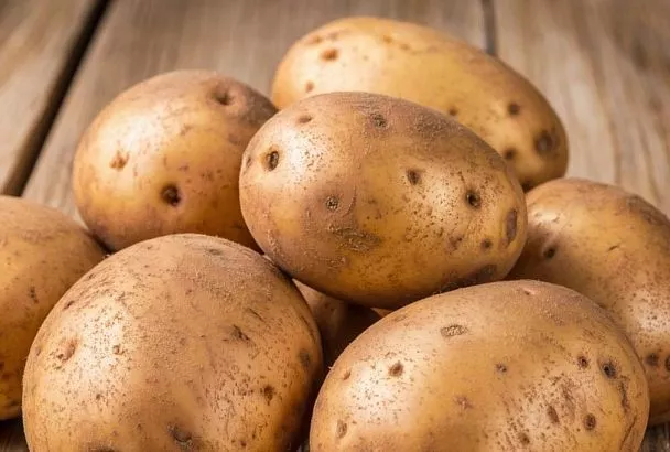 Картофель «Стоун»: урожай мешками и вкус, за который его полюбили хозяйки