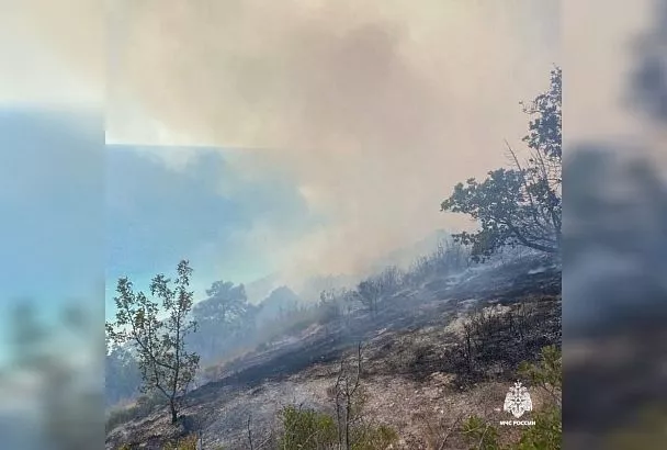 Авиация МЧС России тушит природный пожар под Анапой