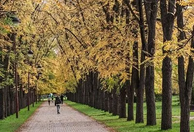 На смену солнцу придут локальные ливни. Синоптики – о погоде в последнюю неделю октября в Краснодарском крае