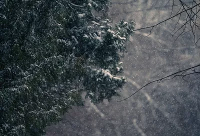 Ночные морозы до -8 градусов и первый снег: две волны холода пройдут через Краснодарский край