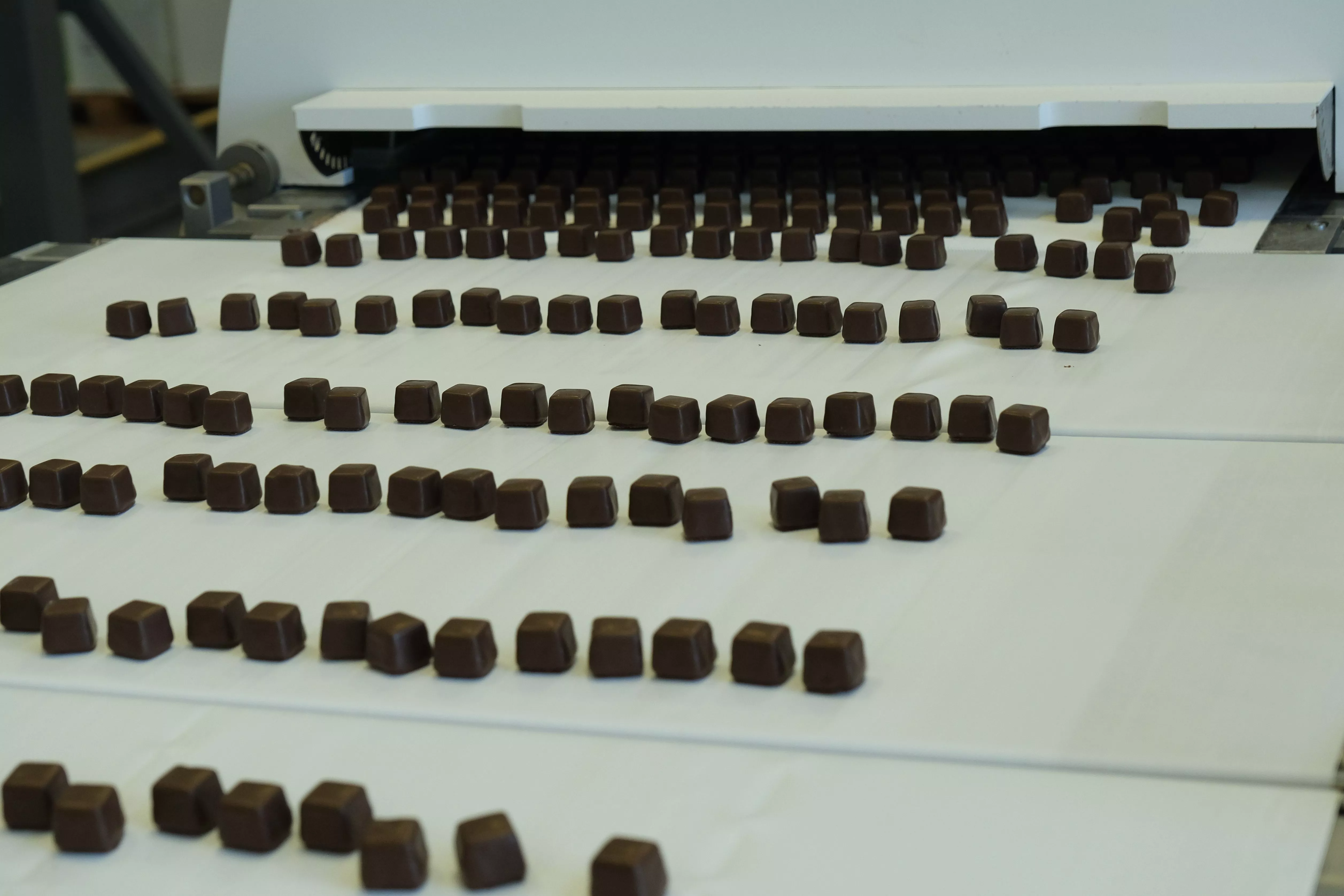 Ключевой компонент темного шоколада может замедлять клеточное старение