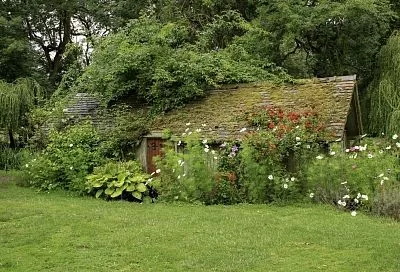 От гостиницы до автомастерской: почему на дачном участке нельзя вести бизнес