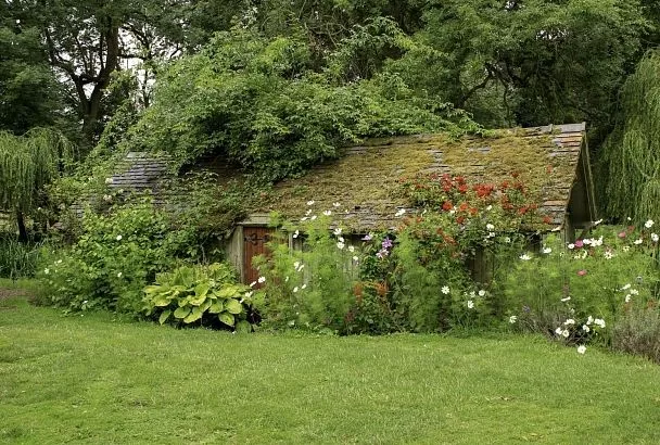 От гостиницы до автомастерской: почему на дачном участке нельзя вести бизнес