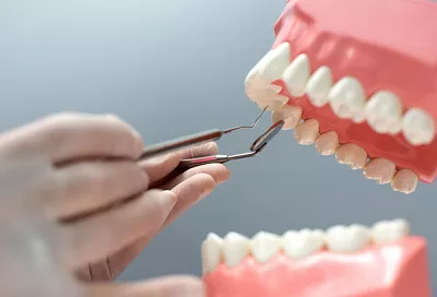 Ученые из Сеченовского университета и РУДН научились восстанавливать десны с помощью лазера