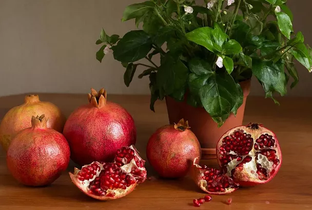 Сушеная кожура граната: бесплатное удобрение с калием, фосфором и магнием