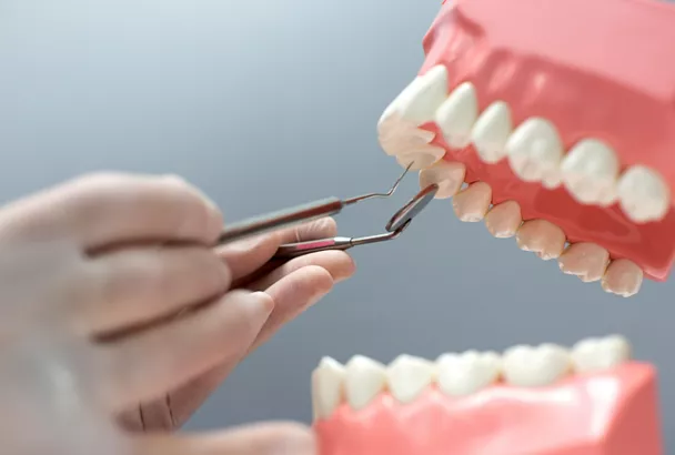 Ученые из Сеченовского университета и РУДН научились восстанавливать десны с помощью лазера