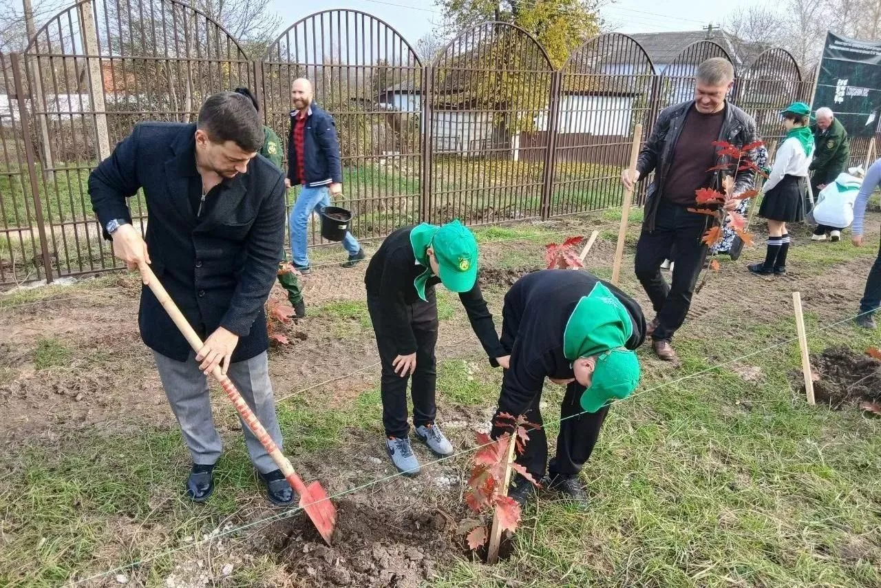 Более 8 тысяч деревьев высадили в Краснодарском крае в рамках акции «Сохраним лес»