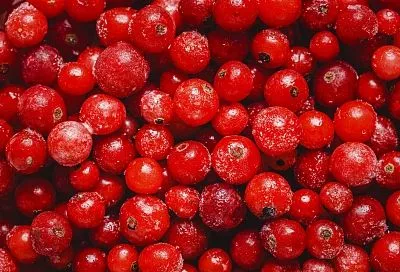 Просто добавьте их в рацион: два простых продукта для очищения организма без неприятных последствий