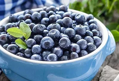 Названы защищающие организм от вирусов продукты