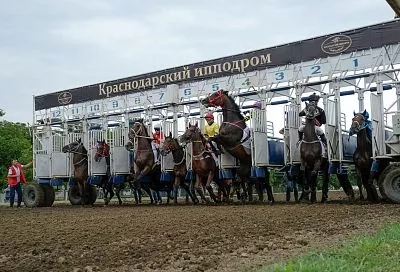 Реконструкцию Краснодарского ипподрома планируют начать в 2026 году