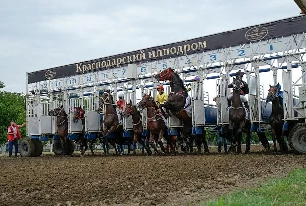 Реконструкцию Краснодарского ипподрома планируют начать в 2026 году