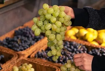 Виноград на Кубани подешевеет более чем на 30% из-за высокого урожая