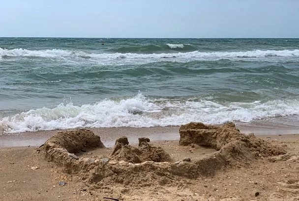 В Анапской бухте найдены два редких вида морских водорослей