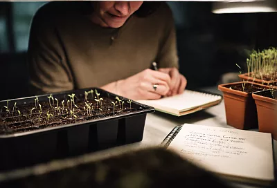 Сею перец в феврале 2026 по лунному календарю: самые удачные дни для крепкой рассады