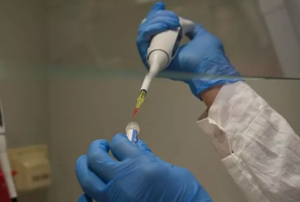 «Агро.Интенсив» провели для учащихся агроклассов Кубани 