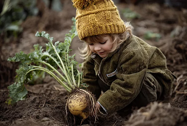  Репа — овощ выживания: как вырастить корнеплод и ботву без провалов