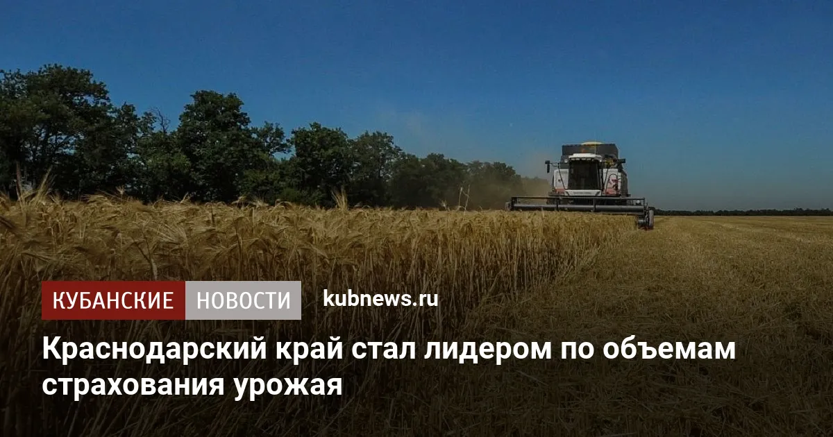 Краснодарский край стал лидером по объемам страхования урожая