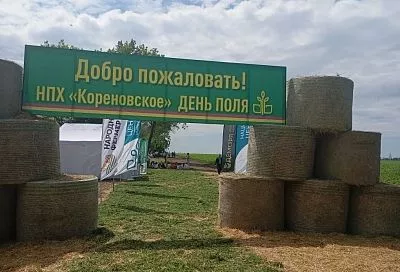 Кубанская селекция планетарных масштабов