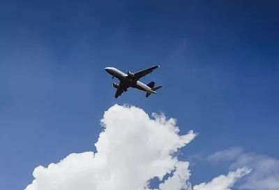 Одна птица — минус 14 лет: учёные выяснили, как клюв и перья убивают авиадетали