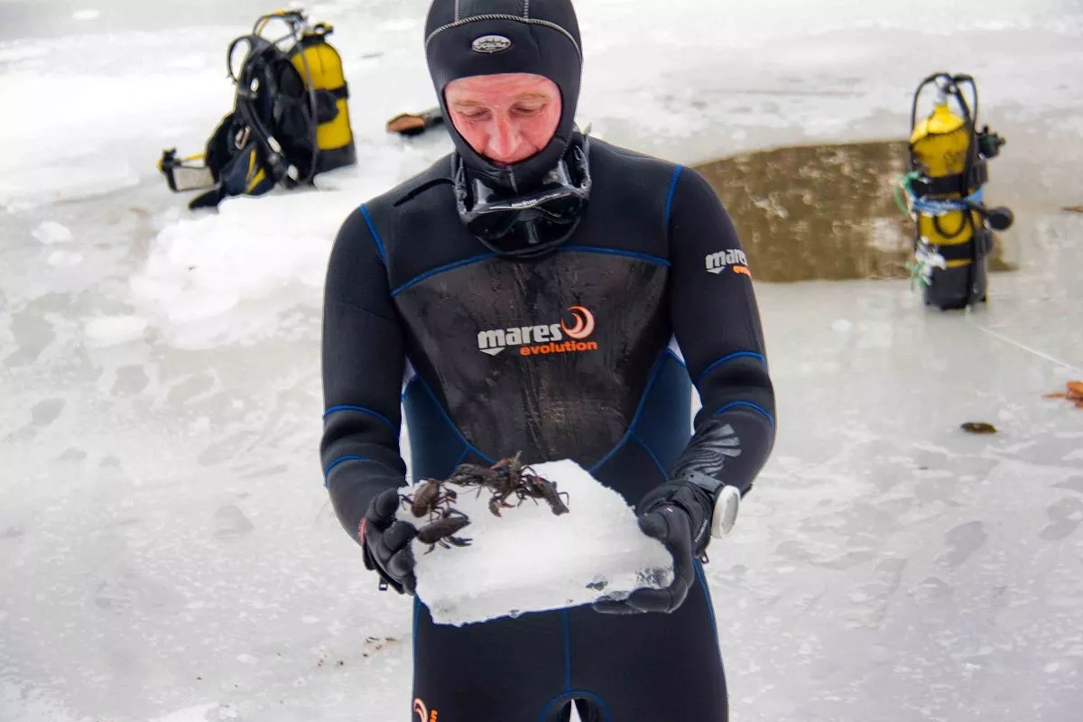 Есть и еще одна мистическая история, согласно которой много лет назад озеро прокляла ведьма, с тех пор вода в нем мертвая, и в озере не водится никакой живности. Есть и еще одна мистическая история, согласно которой много лет назад озеро прокляла ведьма, с тех пор вода в нем мертвая, и в озере не водится никакой живности.