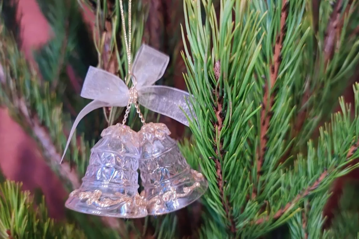 В Краснодаре зажгли елку на Главной городской площади