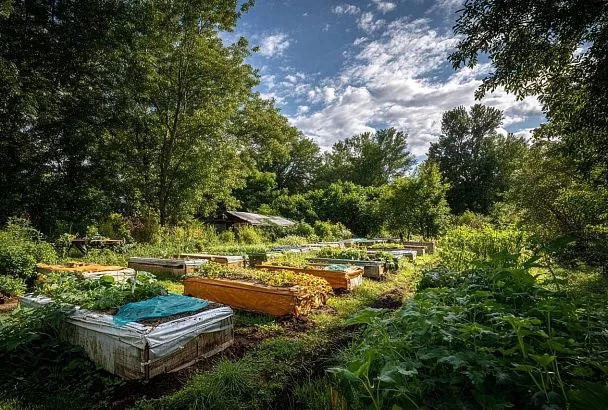 Грядки Хольцера: как создать огород, который работает сам