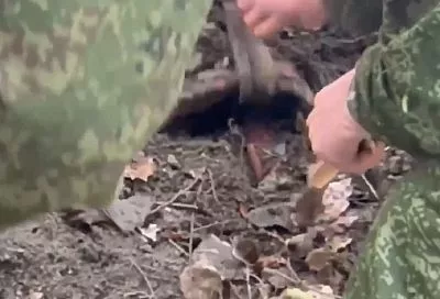 Пьяная мать с сожителем убили и бросили в лесу на Кубани ее годовалого сына. Дело направлено в суд