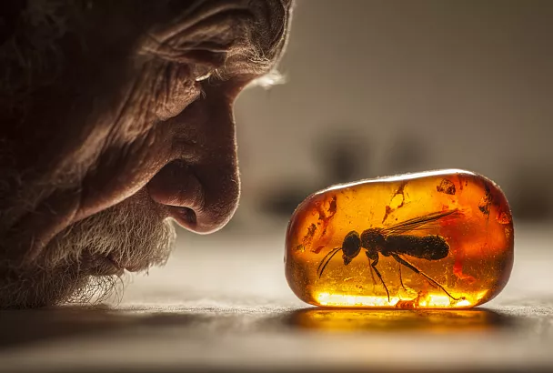 Янтарь от щитовидки, стресса и артрита.  Проверяем, что из этого правда