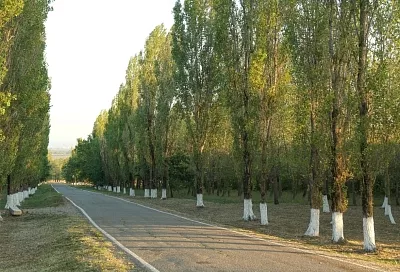 Угроза атаки БПЛА: в Крымском районе включили сирены системы оповещения 