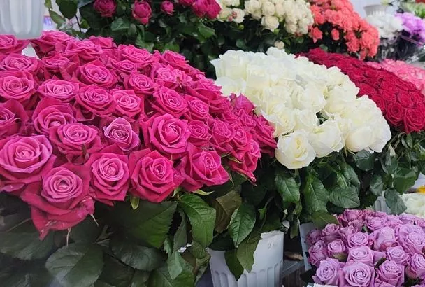 Цветочные базары откроют в Краснодаре перед 8 Марта: адреса временных торговых точек