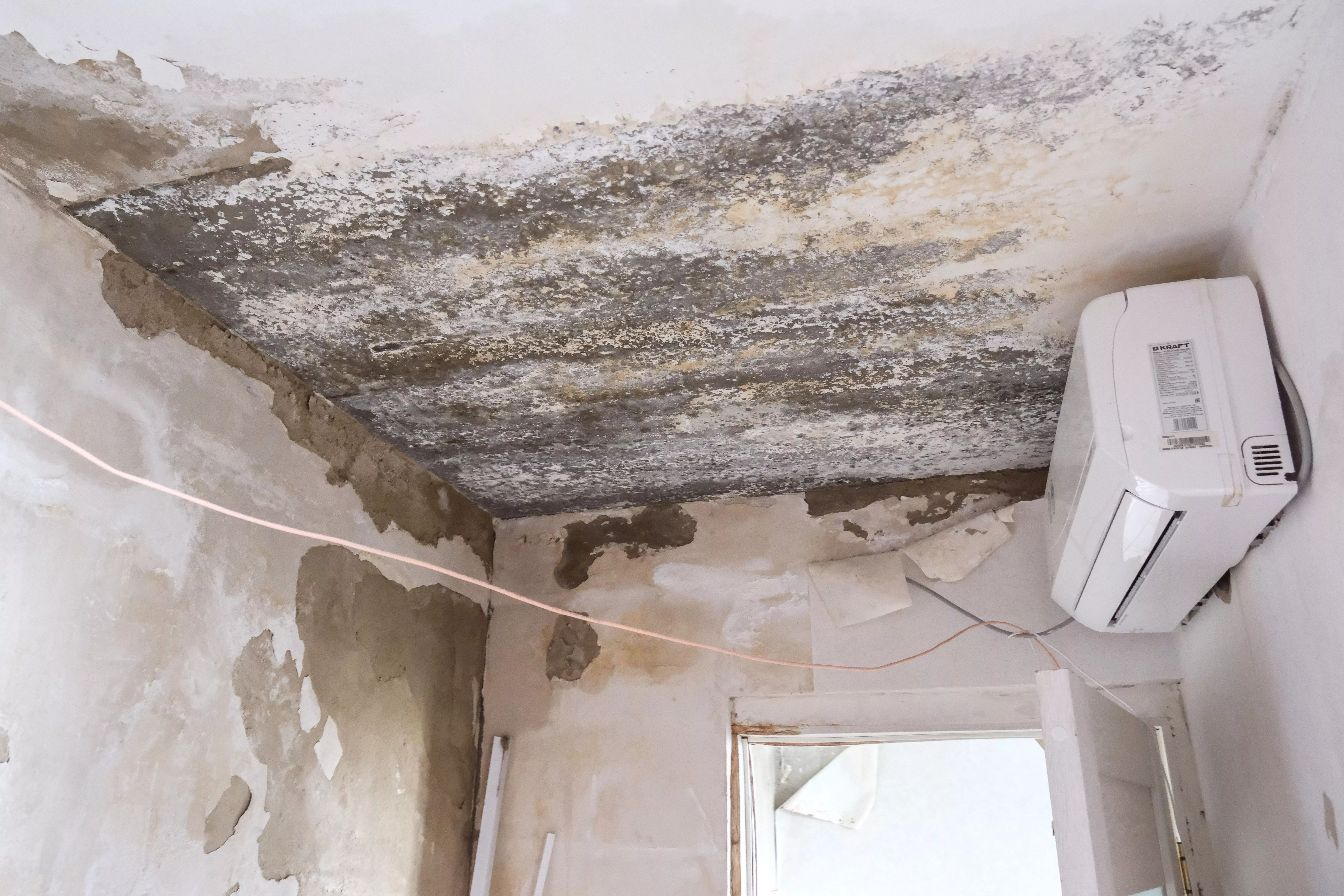 Терпение лопнуло вместе с крышей 