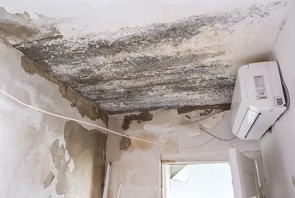 Терпение лопнуло вместе с крышей 