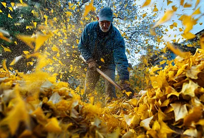 Почва «ест» зимой: как бесплатно прокачать грядки к весне