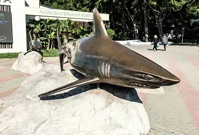 Царь-рыба, акулы и русалки: какие необычные скульптуры на морскую тематику посмотреть туристам на Кубани 