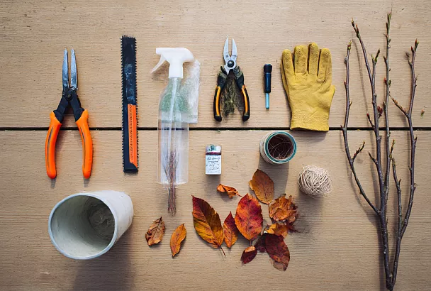 Когда обрезку лучше отложить: мой практический минимум для садоводов