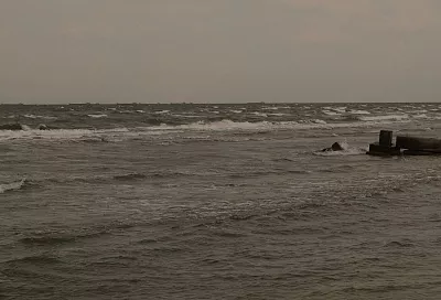 Более 362 тысяч тонн зерна экспортировано через порт Тамани с начала 2026 года