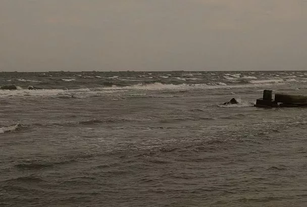 Более 362 тысяч тонн зерна экспортировано через порт Тамани с начала 2026 года