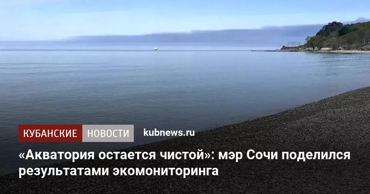 «Акватория остается чистой»: мэр Сочи поделился результатами экомониторинга