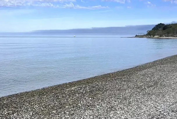 «Акватория остается чистой»: мэр Сочи поделился результатами экомониторинга 