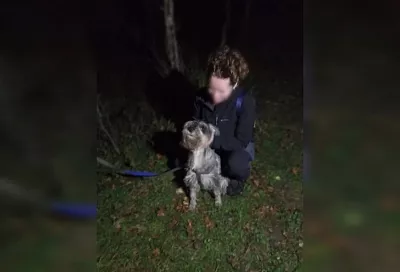 Спасатели вызволили упавшую в 10-метровую расщелину собаку в Лабинском районе