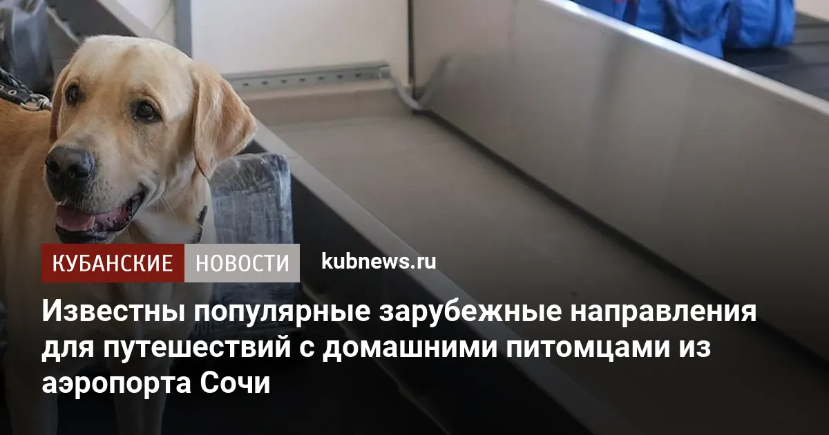 Известны популярные зарубежные направления для путешествий с домашними питомцами из аэропорта Сочи