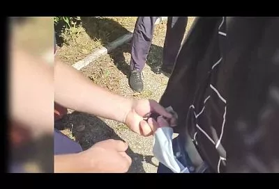 Жители Сириуса сняли на видео под окнами дома закладчика наркотиков и сдали его полиции