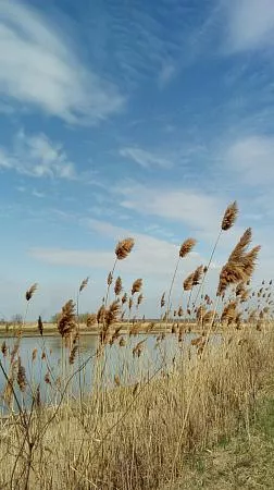 «Весна на реке Кубань»