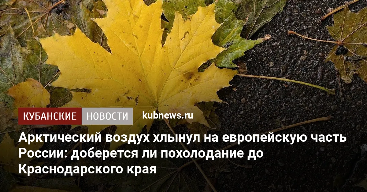 Арктический воздух хлынул на европейскую часть России: доберется ли похолодание до Краснодарского края