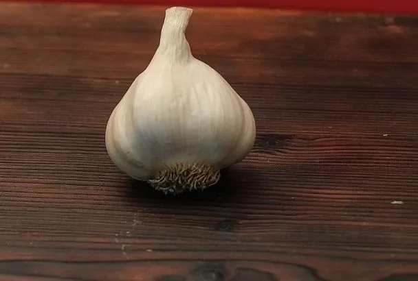 Чеснок и перец: проверенный способ ускорить всхожесть пасленовых