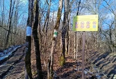 Маршрут к горе Шизе и хребту Грузинка в Абинском районе станет доступнее для маломобильных туристов