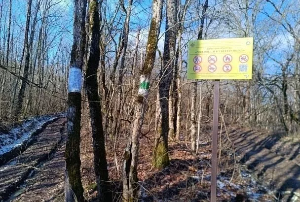Маршрут к горе Шизе и хребту Грузинка в Абинском районе станет доступнее для маломобильных туристов