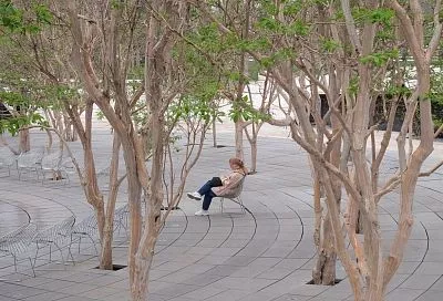 До +20 градусов покажут термометры в Краснодарском крае после короткого похолодания