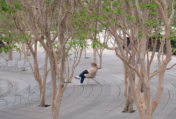 До +20 градусов покажут термометры в Краснодарском крае после короткого похолодания